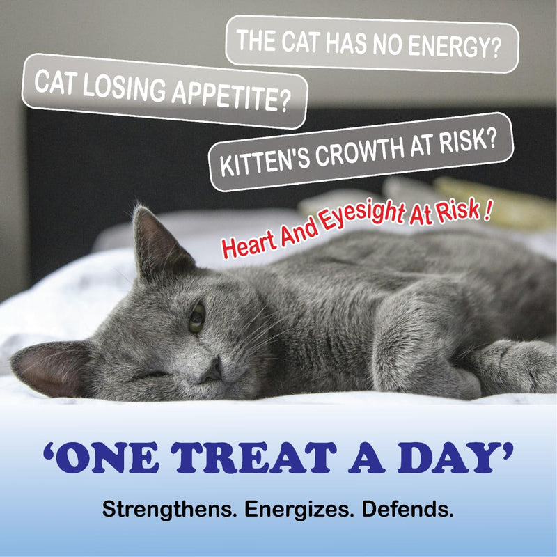 Taurine for Cats, Pure Taurine Supplement for Cats, Supports Vitality & Coat Health, Easy to Mix in Food, with Dosing Spoon, 200 Grams