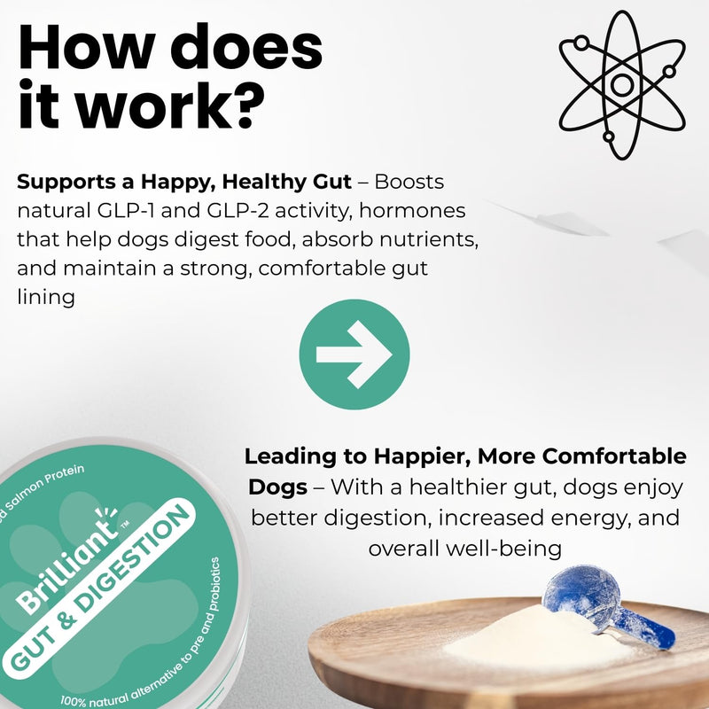 Brilliant Gut & Digestion Salmon Peptide Powder for Dogs & Cats – 100% Natural Single Ingredient Food Topper, Supports Digestive & Immune Health, Skin & Coat – Human Grade, 7oz 7 oz