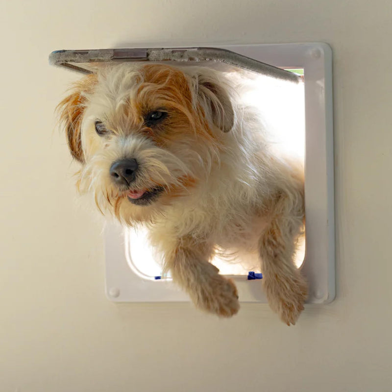 Cat Mate 4-Way-Locking Large Cat Flap (221) - Secure Lockable Door for Large Cats and Small Dogs, Easy to Install and Use, for UPVC/Metal, Wall and Wood, White White Cat Flap