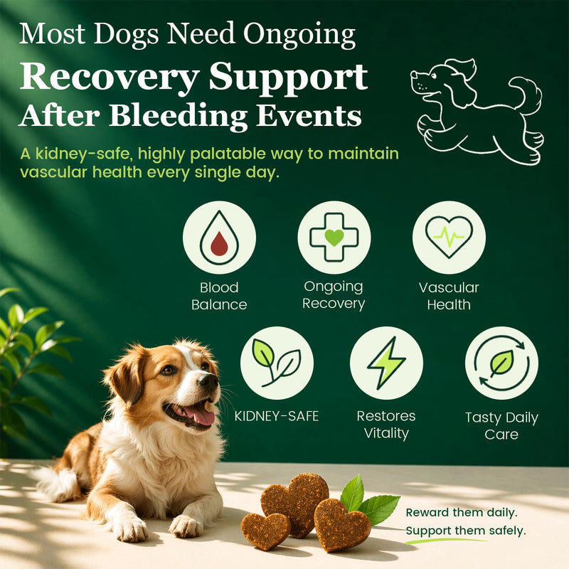 Herbal Yunnan Sanqi Soft Chews for Dogs, Stop Bleeding & Blood Builder for Hemangiosarcoma, Hemoabdomen, Cancer Bleeding, Kidney - Safe Daily Support for Long - Term Care, Boosts Vitality&Energy-150ct