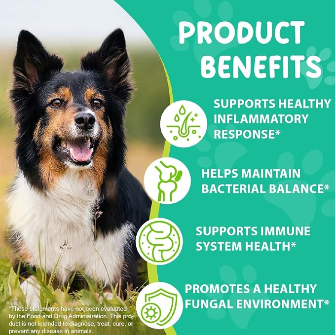 Dogs Antibiotics for Infection Coughs, UTIs, Allergies, Itching - Natural Antibiotics Supplement Drops for Cats to Support Digestion and Urination | Skin & Coat | All Breeds & Ages | 2 Oz