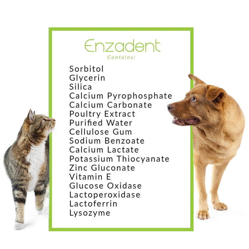 Vetoquinol Enzadent Enzymatic Toothpaste for Cats & Dogs – 3.2 oz, 3.17 Ounce (Pack of 1) - PawsPlanet Australia