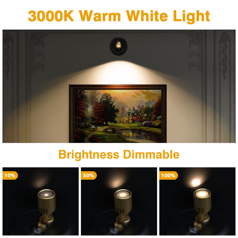 Wireless Spotlight Indoor,Battery Operated Wall Accent Lighting,LED Puck Lights with Remote,Plants light/Uplighting,Stick on Display Wall Light for Picture Painting Artwork Portrait Closet Home Decor Black