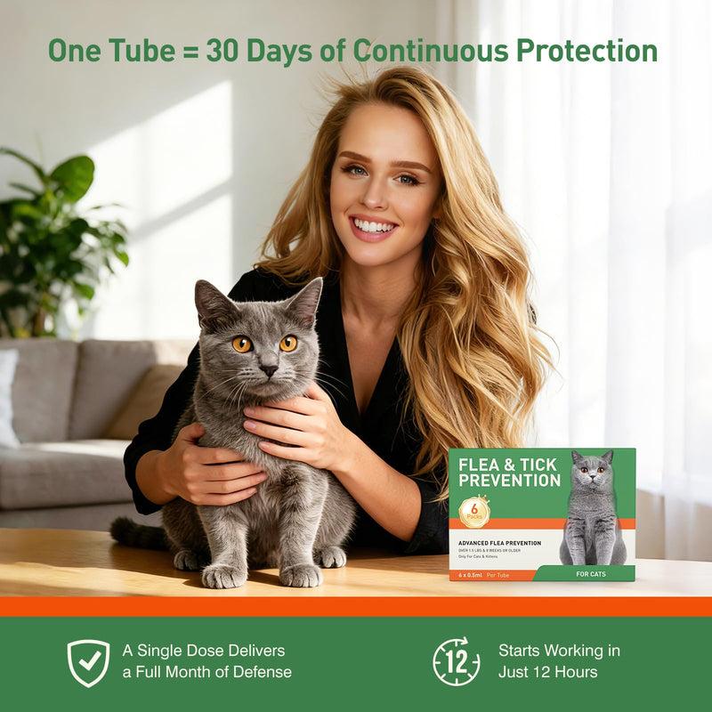 Cat Flea Treatment & Tick Control - Topical Flea Treatment for Cats & Kittens - Protection for Cats Over 1.5 lbs and 8 Weeks or Older, 6 Pack