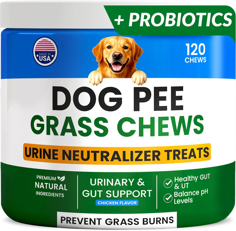 Green Grass Dogs Chews w/Probiotics - Prevent Urine Burning Grass - Pee Gras Spot Saver - Dog Urine Neutralizer for Lawn Treats, UT & Gut Health for Dogs, Lawn Burn from Dog Urine 120Ct