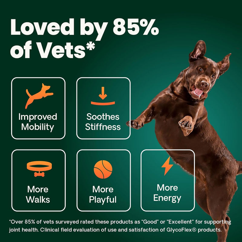 VetriScience Healthy Hip & Joint Chews, GlycoFlex Glucosamine and Green-Lipped Mussel Mobility Support Supplement for Dogs, Promote Play and Protect Joints, Chicken, 60 Count