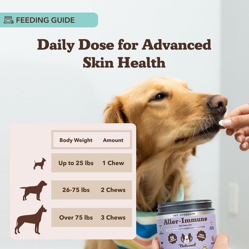 Natural Dog Company Bundle: Allergy & Itch Defense Chews (90 ct) + Skin Soother Balm (2 oz) – Vet-Strength Support with Colostrum, Salmon Oil & Probiotics + Healing Balm for Itchy, Dry, Irritat
