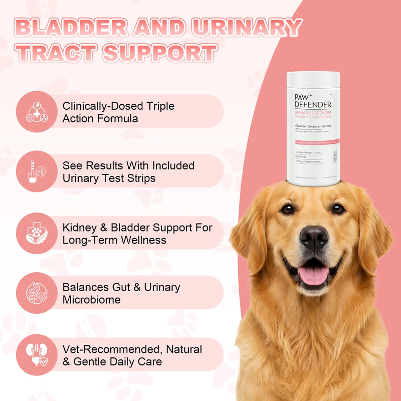 Dog UTI Treatment, Cranberry Supplement for Dogs, Urinary Tract & Bladder Incontinence Support with Natural Cranberry Extract & D-Mannose & UT Probiotics, Includes 10 Urine Test Strips, 120 Chews