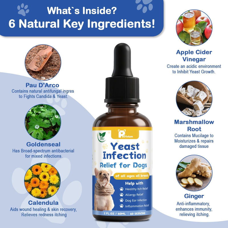 Yeast Infection Treatment for Dog, Natural Dog Yeast Infection Relief for Itchy Skin & Ear - Allergy & Paw Itching, Soothes Irritation & Reduces Inflammation Herbal Dog Supplement Drops 1-Pack