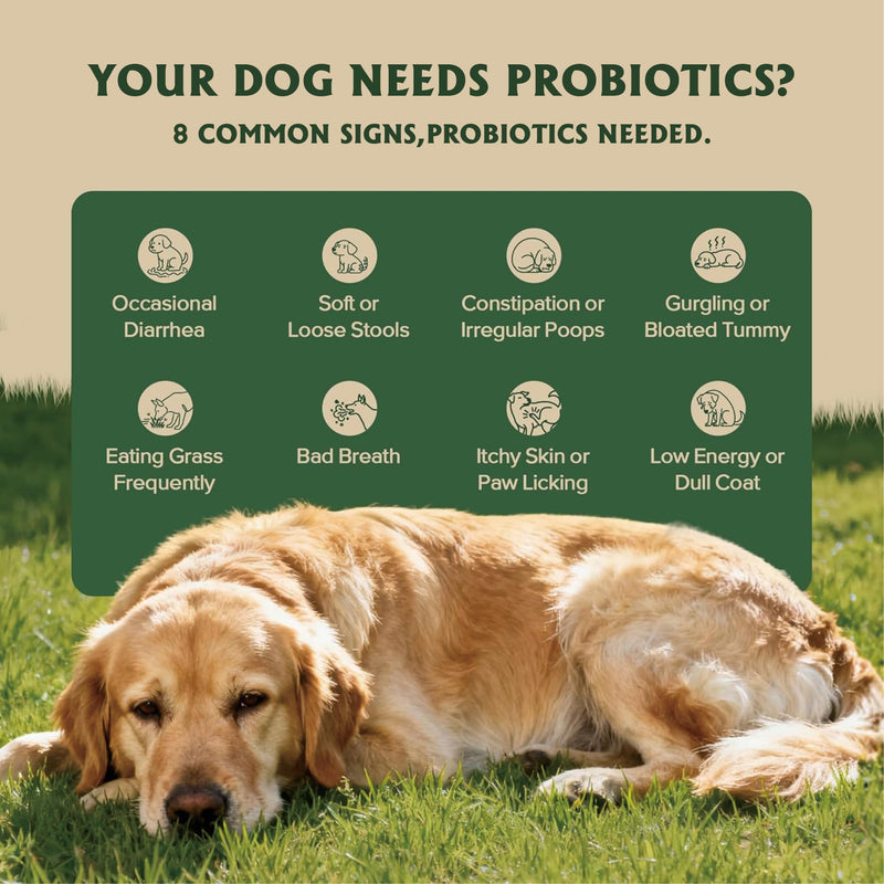 Probiotics for Dogs - Dog Probiotics for Yeast, Itchy Skin and Itchy Ears, Digestive Health, Diarrhea Relief, Gut & Immune Support - with 7 Enzymes, 6 Prebiotics & Omega-3 (Chicken Flavor 90ct)