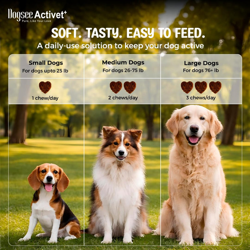 Dogsee Activet+ Dog Skin Coat Supplement Chews, with Omega 3, Omega 6,EPA & DHA, Biotin & Collagen, Stops Itchy Skin, Reduces Shedding, Promotes Shiny Coat, Healthy Skin, Chicken Flavor - 90 Chews Skin & Coat - Chicken