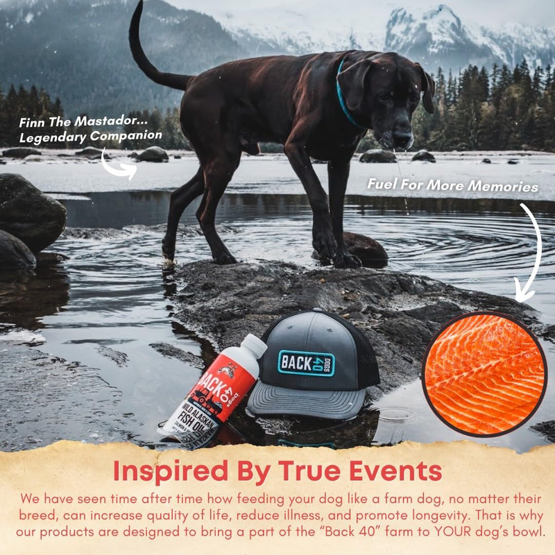 Back40Dog Fish Oil & Bone Broth Bundle – Wild Alaskan Salmon & Pollock Oil 16 fl oz & Grass-Fed Beef Bone Broth Powder 6.4 oz – Skin, Coat, Joint & Digestive Support