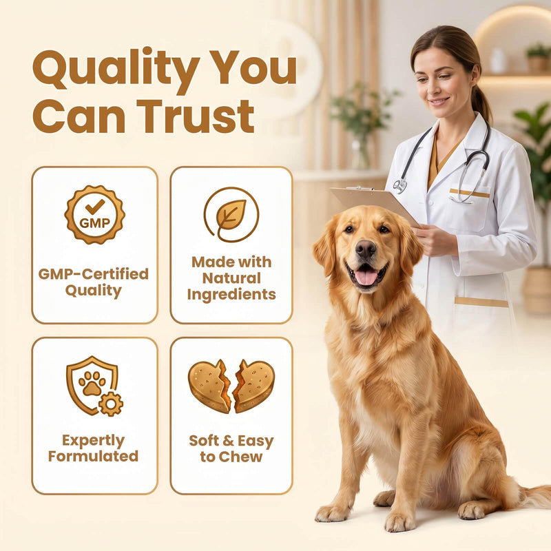 Anal Gland Supplement for Dogs, 800M CFU Probiotics & Fiber Soft Chews with Pumpkin Seed, Psyllium Husk & Inulin for Stool Consistency, Daily Digestive Health Support, Chicken Flavor, 90 Ct