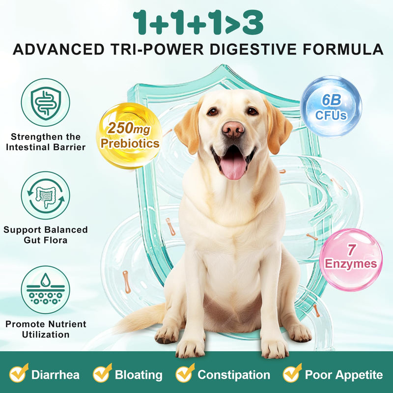 Probiotics for Dogs, Dog Probiotics with Digestive Enzymes, Prebiotics, Omega-3 & 6 and Vitamin for Dogs Digestive Health, 6 Billion CFUs for Gut Health and Immune Support, 180 Freeze-Dried Chews 180 counts
