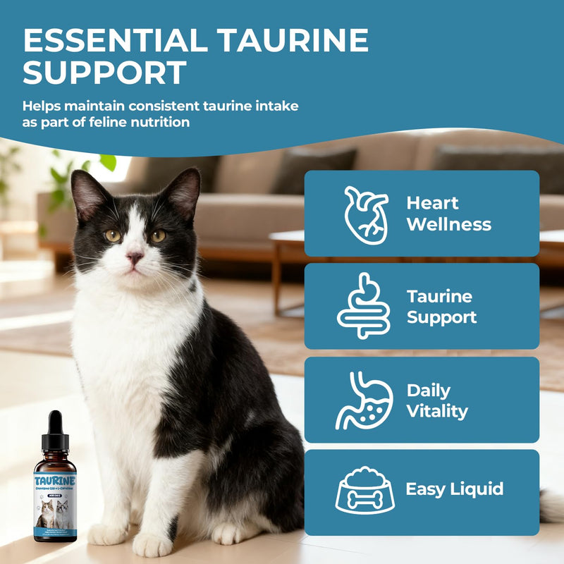 Taurine Supplement for Cats Liquid Drops, Cat Taurine with Coenzyme Q10 & L-Carnitine, Supports Heart Function, Vision, Energy & Daily Vitality, 2 fl oz 60 ml (Pack of 1)