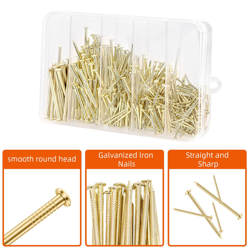 400 PCS Nails Assortment Kit, Picture Hanging Nails, Wood Nails, Wall Nails for Hanging, Gold Plated, 5 Sizes Assortment