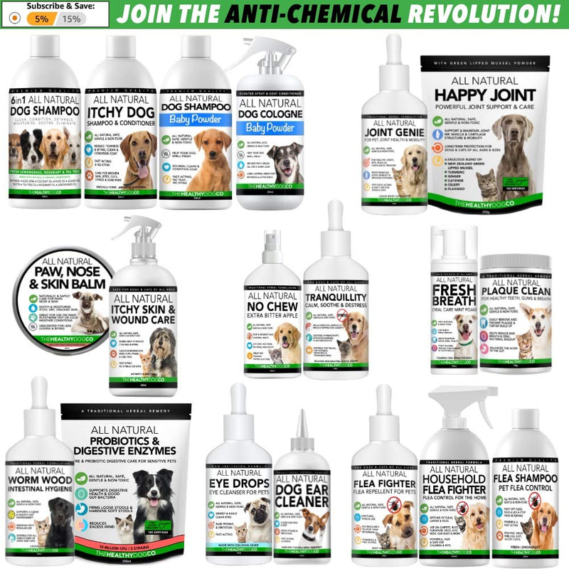 All Natural Dog Ear Cleaner | 250ml | Works in 2-3 Days | Eliminates Smells, Itching & Discomfort | Voted the Best, Safest Dog Ear Wash For Dogs With Ear Wax, Dirt, Yeast - PawsPlanet Australia