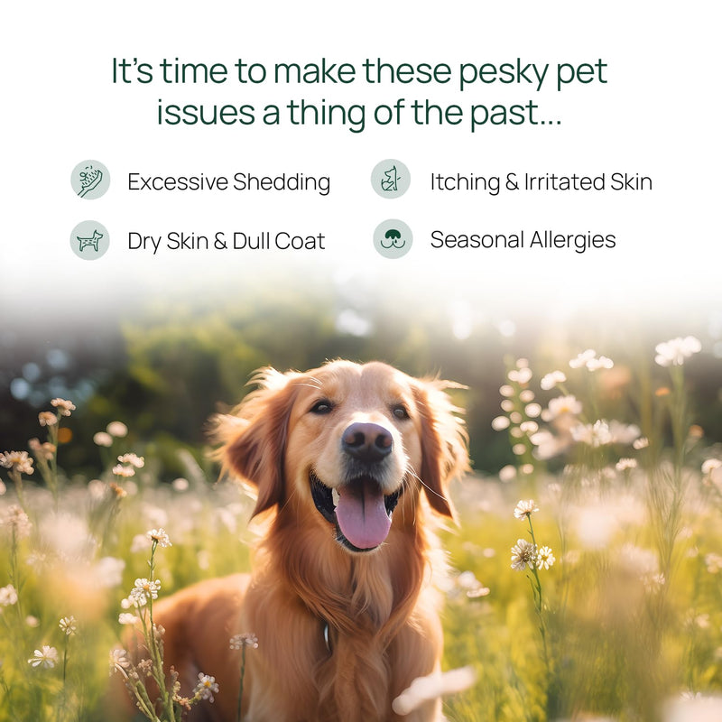 pawTree Salmon Oil-Dog and Cat Fish Oil Supplement-Ideal for excessive shedding control, seasonal allergies, itch relief, dry, irritated skin. With over 15 heart-healthy Omega-3 & Omega-6 Fatty Acids. 15 fl Oz - PawsPlanet Australia