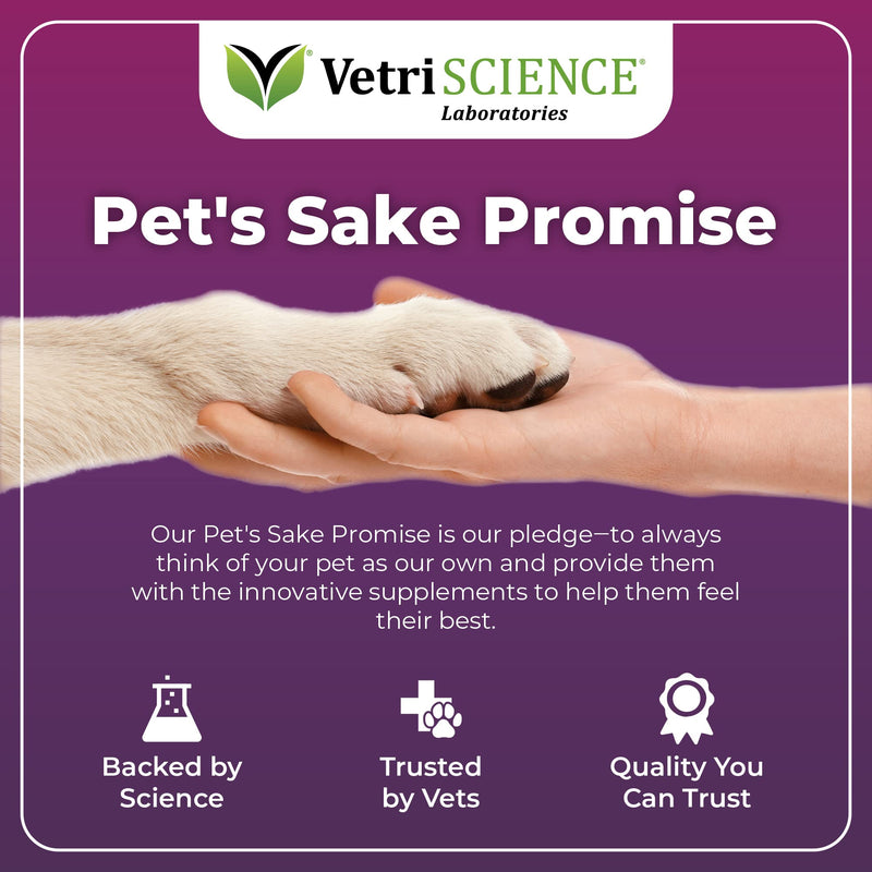 VetriScience Omega Plus Advanced Skin Supplement for Dogs â€“ Fish Oil Supplement for Itchy Skin with Omegas 3, 6, 9 Fatty Acids and Added Nutrients - PawsPlanet Australia