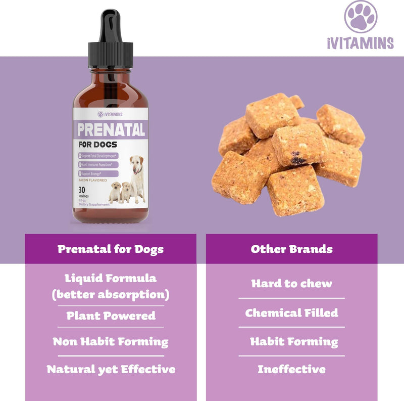 Dog Prenatal Vitamins | Prenatal Vitamins for Dogs | Includes Vitamin B Complex & Vitamin C | Dog Essentials | Whelping Supplies | Prenatal Dog Vitamins | Prenatal for Dogs | 1 Pack: 30 Servings - PawsPlanet Australia