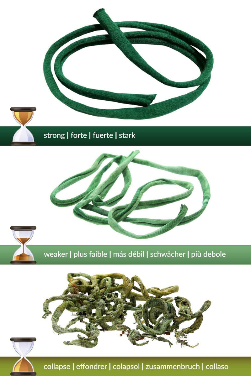 Soft Plant Ties for House and Garden Plants - Environmentally Friendly Stretchy Green Plant Tape and Garden Twine Plant String (Green Bio Roll x 1) 65 ft