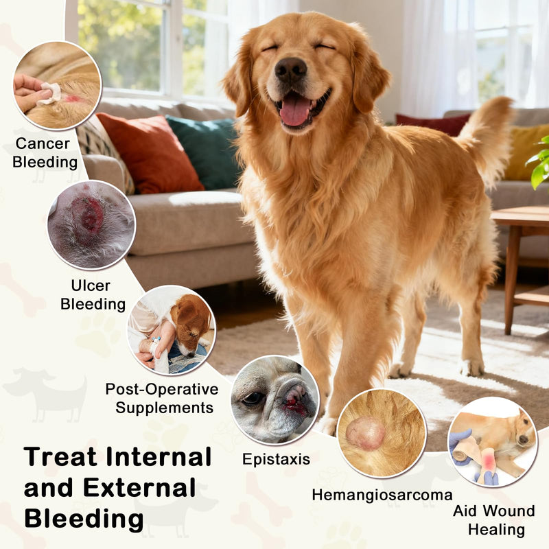 yunnan Sanqi Capsules for Dogs, Herbal Quick Stop Bleeding, Blood Support for Hemangiosarcoma, Hemoabdomen, Pericardial Effusion, Cancer Bleeding, Ulcer-Related Bleeding, Bloody Stools - 90 Capsules