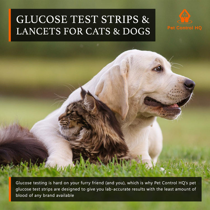 50 Test Strips for Pet Control HQ Blood Sugar Glucose Monitor System - Dog and Cat Glucose Monitoring - PawsPlanet Australia
