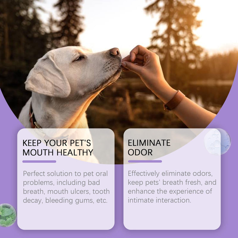 Dog Dental Care Spray, Dogs Teeth Oral Care Cleaning Spray, Breath Freshener and Teeth Cleaning, Reduce Tartar Freshen Breath, Support Clean and Teethes Aid in Daily Oral Use, No Brushing 50 ml