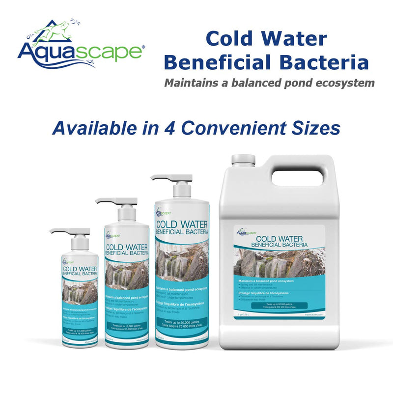 Aquascape Cold Water Beneficial Bacteria for Pond and Water Features 8 oz. / 236ml, 98892 8 fl oz