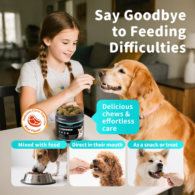 Probiotics for Dogs, Digestive Enzymes & Pumpkin Fiber for Gut Health and Bowel Support, Dog Supplement for Gas Relief & Constipation, 10B CFU with 5 Prebiotics & 5 Enzymes, 90 Count Beef Flavor 90 Count (Pack of 1)