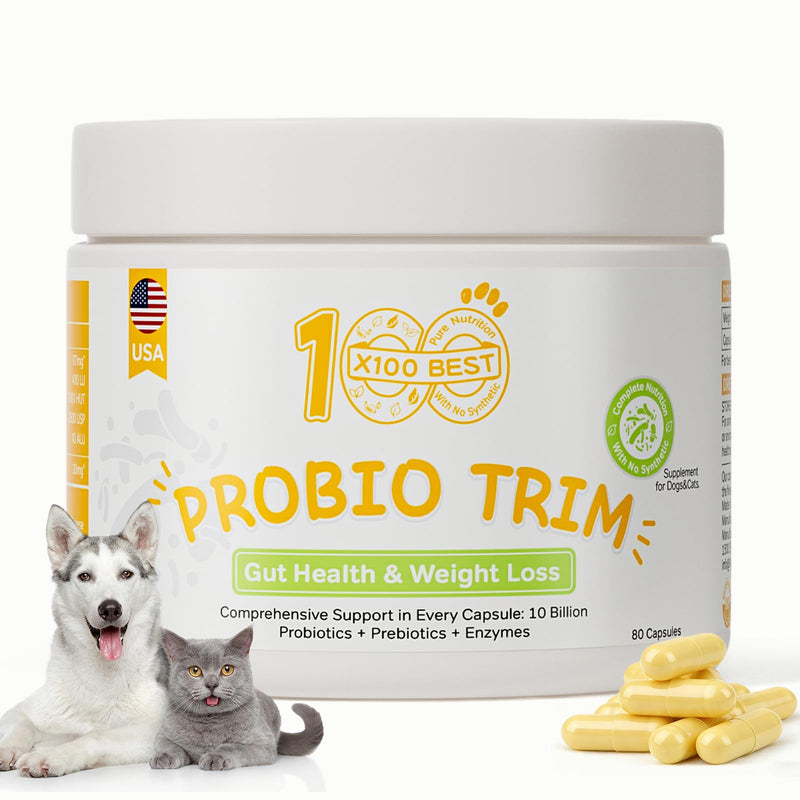Probiotics for Dogs & Cats - 33.3B CFU, 11 Patented Strains & 4 Digestive Enzymes - Digestive & Gut Health, Immune Support, Cholesterol Metabolism & Weight Management - 80 Capsules