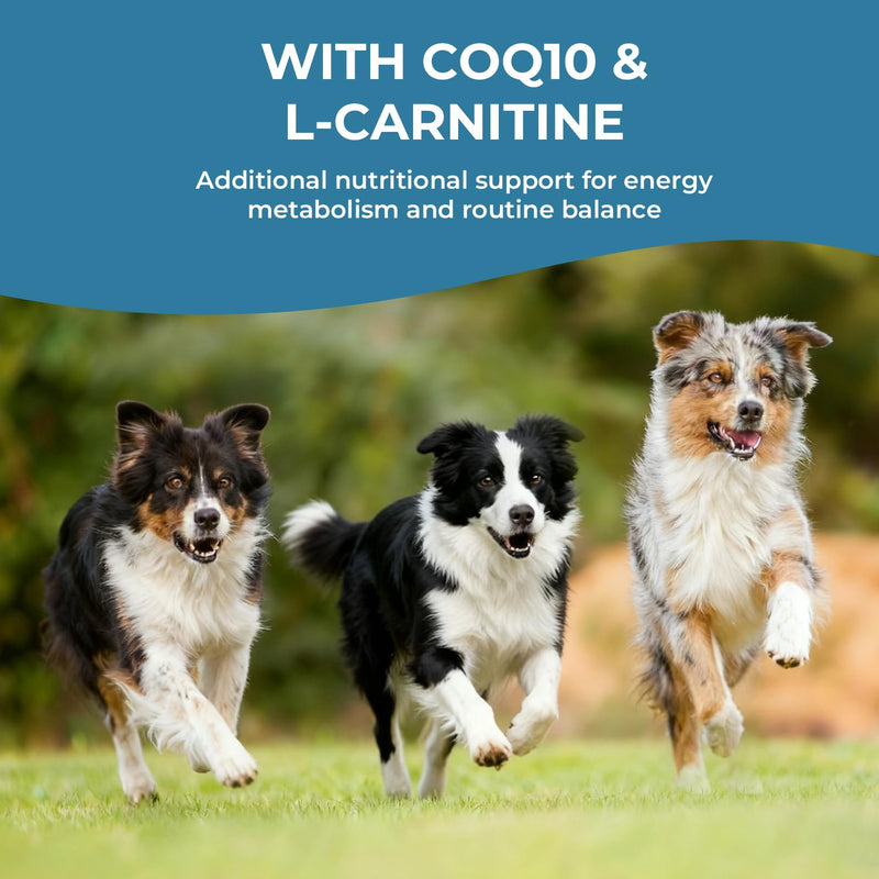 Taurine Supplement for Dogs Liquid Drops, Dog Taurine with Coenzyme Q10 & L-Carnitine, Supports Heart Function, Energy & Daily Vitality, 2 fl oz 60 ml (Pack of 1)