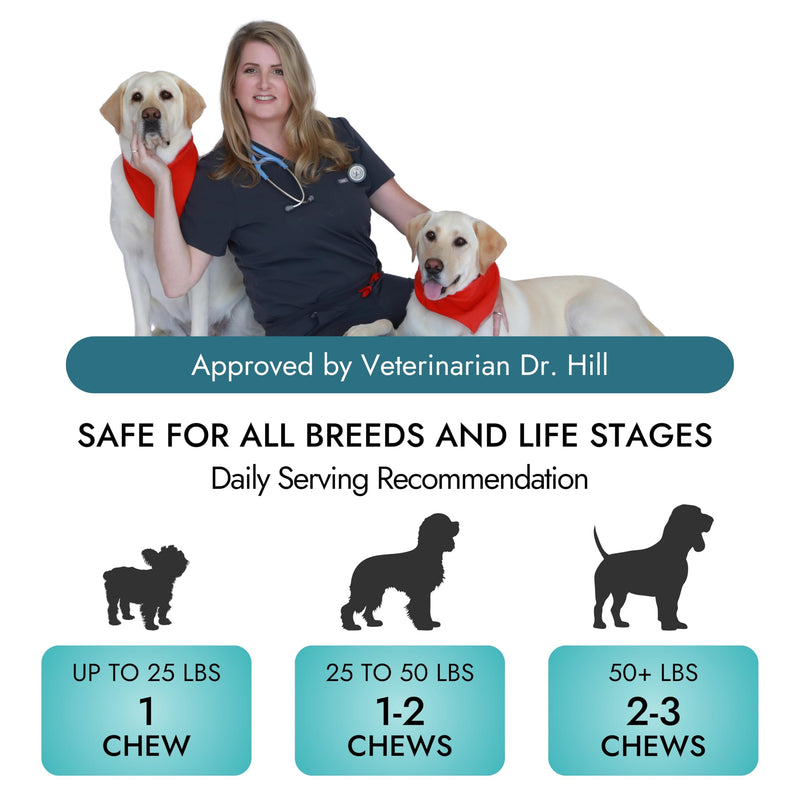Pet Vet Multi Soft Chews for Dogs (Beef Liver, 60 Chews) – Multi, Probiotics for Digestive Health – Glucosamine, Skin Supplement – Immune Support, Supplements