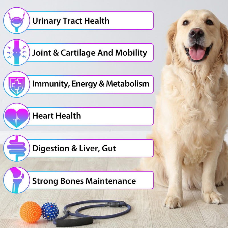 15 in 1 Dog Multivitamin, All-in-One Multi Liquid Multivitamin for Dogs, Dog Vitamins and Supplement with Digestive, Immunity, Allergy Skin & Coat Support, Hip & Joint, All Ages, Breeds 2 oz 60ml - PawsPlanet Australia