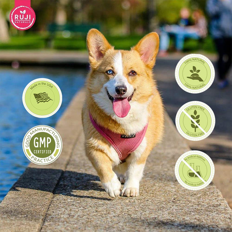 6 in 1 Superfood Dog Supplement with Organic Moringa | Treats for Immune System and Overall Health | Pets All Natural Multivitamins - 90 Chews - PawsPlanet Australia