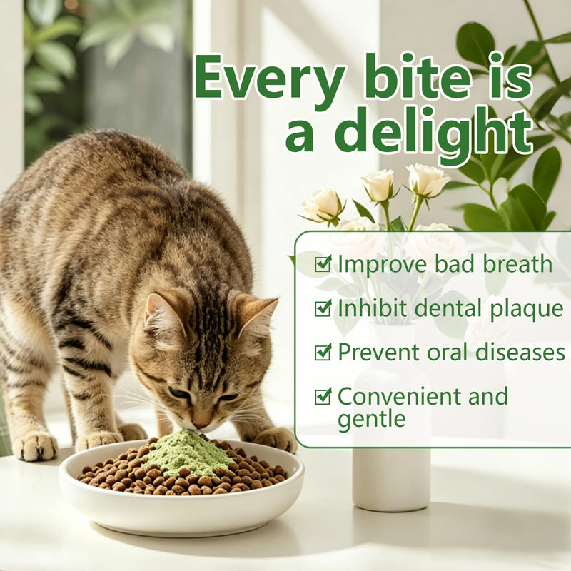 Jellico Pet Teeth Cleaning Powder for Cats – Dental Care Powder Prevents Tartar & Plaque Buildup, Freshens Breath, Oral Hygiene Supplement for Cats, 100g