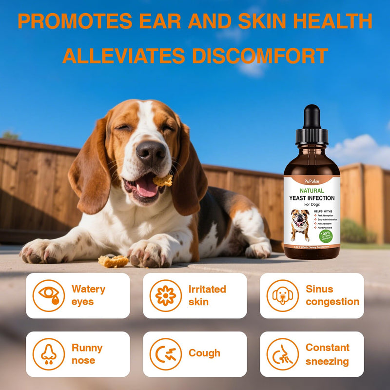 Yeast Infection Treatment for Dogs, Naturally Dog Healthy Itch Relief, Ear Infection Treatment, Dogs Allergy Relief, Inflammation Relief & Allergy Relief More, 2 fl oz