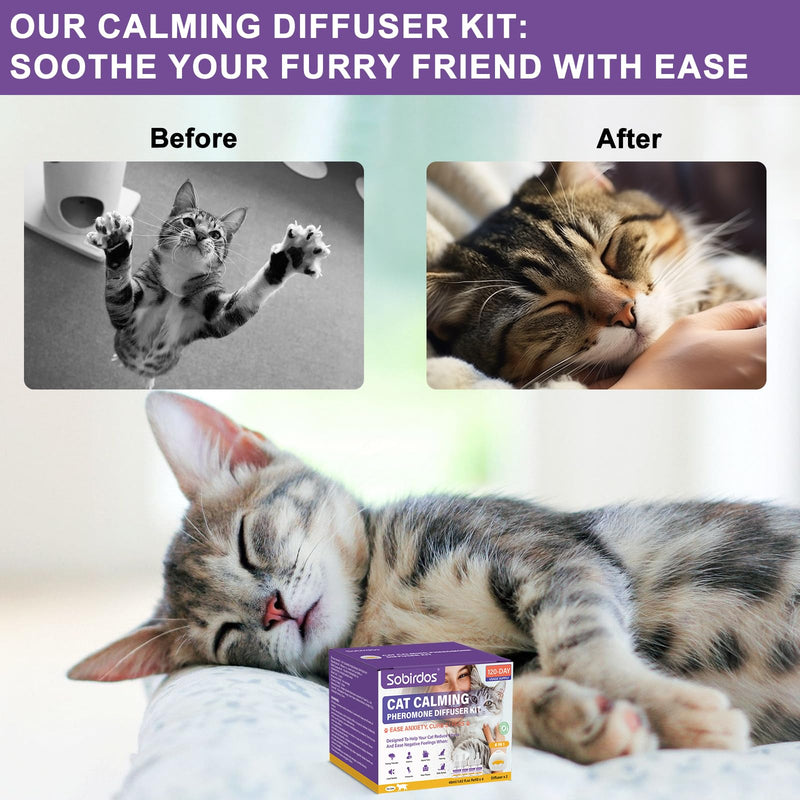 6-in-1 Cat Pheromone Calming Diffuser Kit - Relieve Anxiety, Reduce Fights/Scratching, 2 Plugs + 4 Refills, 120 Days (Purple, L) Purple