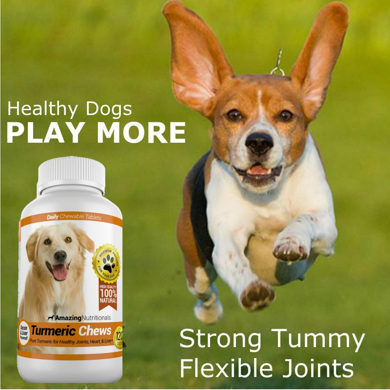 Amazing Turmeric for Dogs Curcumin Pet Antioxidant, Eliminates Joint Pain Inflammation, 120 Chews - PawsPlanet Australia