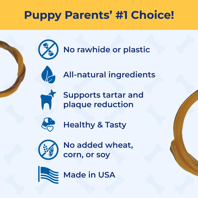 N-Bone Puppy Teething Rings Taste of Texas Chicken Fajitas Flavor 3 Count (Pack of 2) Chicken Fajitas - Regular 3.6 Ounce (Pack of 2)