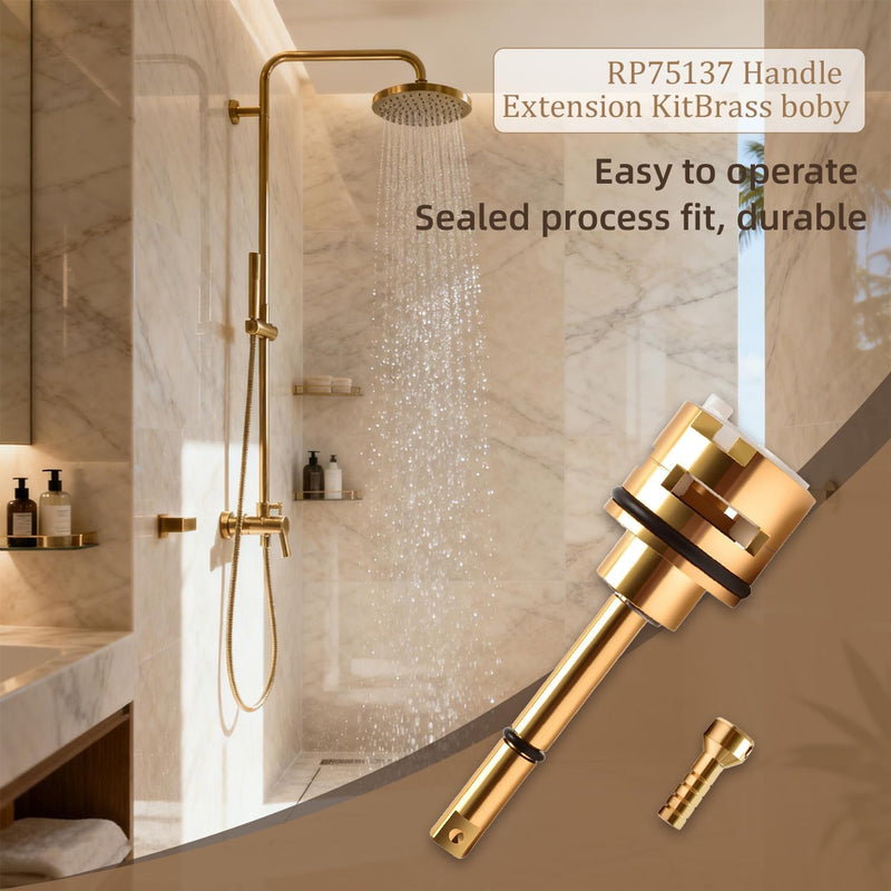 RP71718 3-Function Non-Shared Diverter Cartridge Replacement Compatible With R11000 R22000 Shower Faucet Valve 3 Separate And 3 Off Positions Solid Brass Repair Kit with Installation Tools