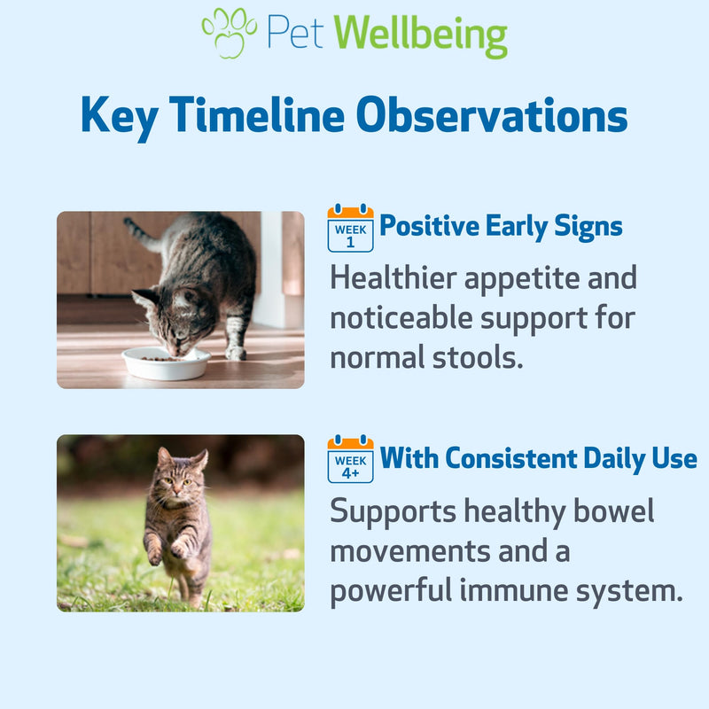 Pet Wellbeing Ultimate Probiotic 9 Strains with FOS Prebiotics for Cats - Digestive Health, Immune Support & Gut Flora Balance - NASC Certified & Vet-Formulated - 160 g Powder