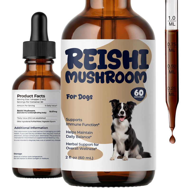 Reishi Mushroom Drops for Dogs, Dog Mushroom Supplement for Immune Support & Daily Wellness, Liquid Reishi Extract for Senior Dogs, Energy, Balance & Long-Term Support, 2 fl oz
