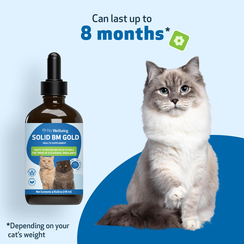 Pet Wellbeing Solid BM Gold for Cats - Supports Healthy Digestive Function, Solid Stools, Bayberry, Oregon Grape - Veterinarian-Formulated Herbal Supplement 4 oz (118 ml) (4 fl oz (118 ml)) 4 fl oz (118 ml)