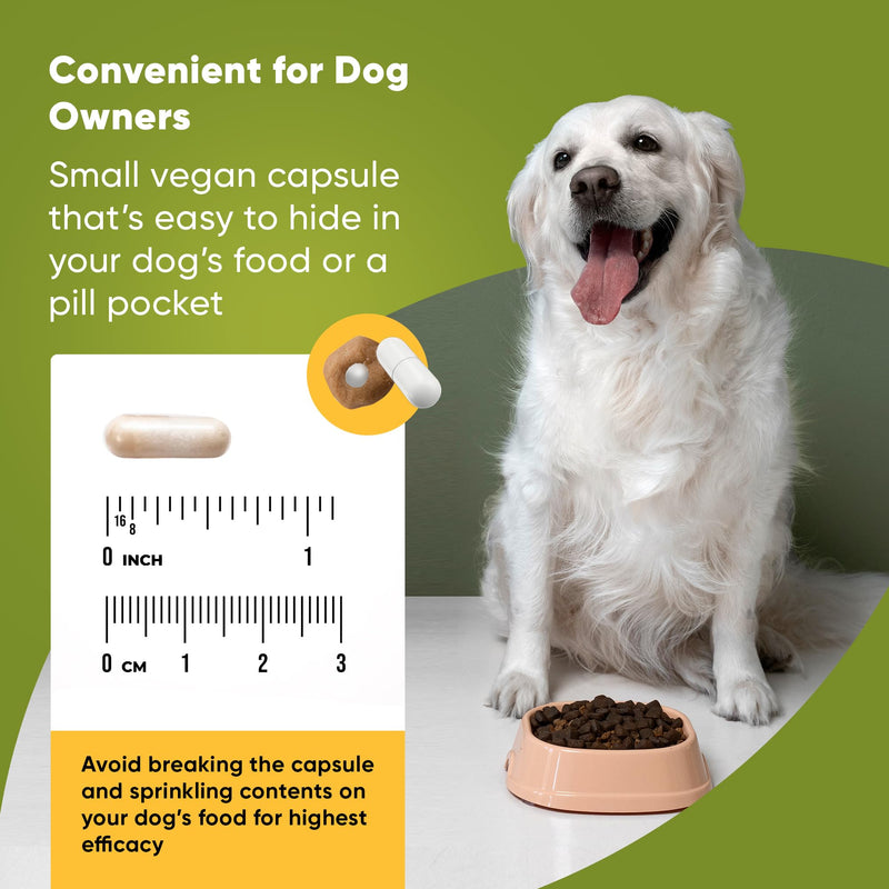 Joint and Muscle Health - Hip and Joint Supplement for Dogs with UC-II Type II Collagen and L-Carnitine - Medium and Large Dog Joint Supplement - 30/ct - PawsPlanet Australia