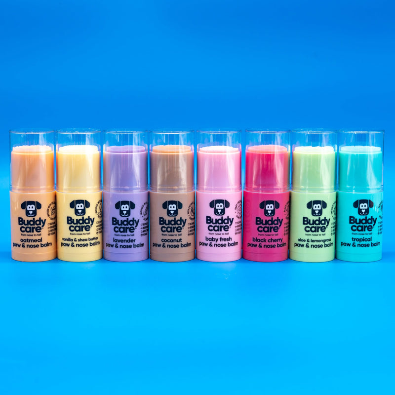 Buddycare Dog Paw & Nose Balm - Oatmeal | Protects & Repairs Dry, Cracked & Chapped Skin | Vegan & Cruelty-Free, Moisturises & Nourishes | Pocket Sized Grooming Accessory