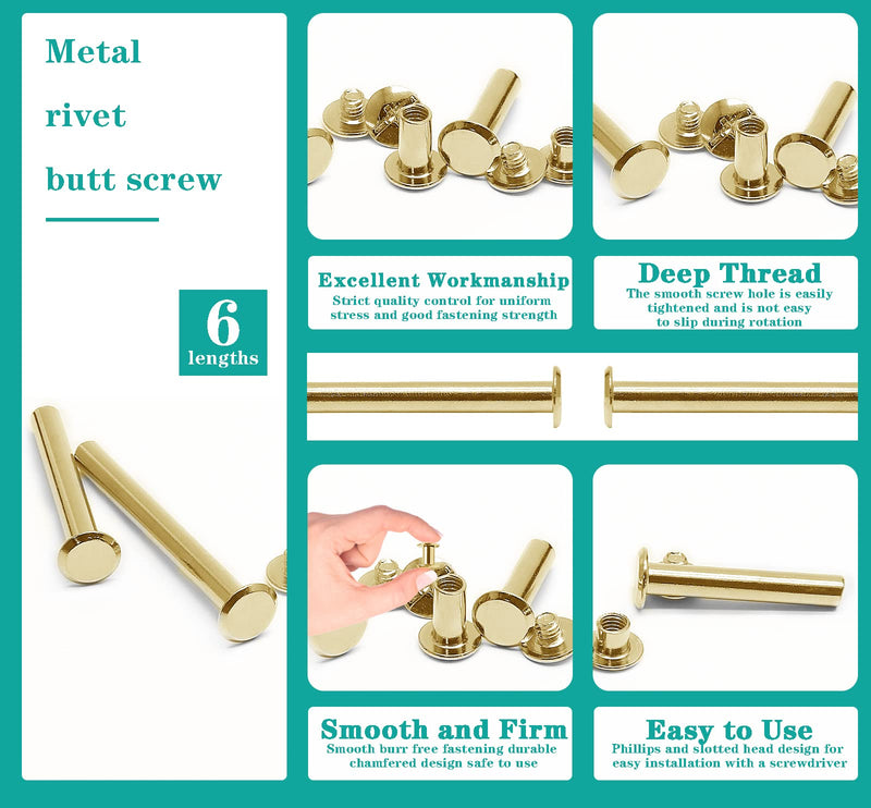 Uenhoy 60 Set Gold Chicago Screws Assorted Kit M5 x 5/10/12/15/25/35mm, Metal Screw Posts Nail Rivet Chicago Button for DIY Leather Crafts Bookbinding, Round Phillips Head Stud Screw M5x5/10/12/15/25/35mm, 60 Sets