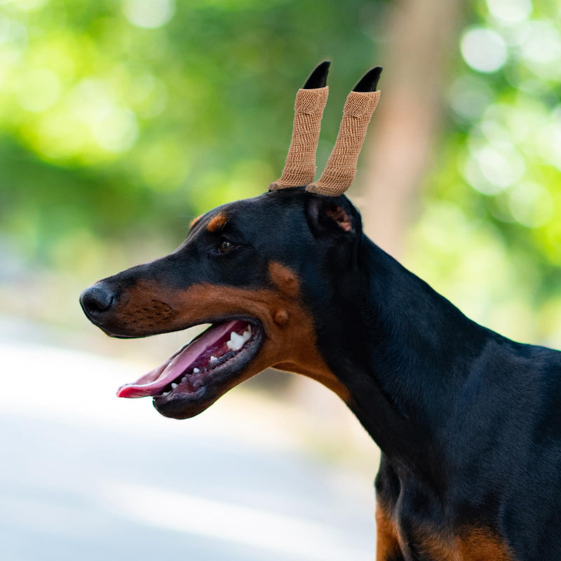 1Set Dog Ear Stand Up Support Tool for Puppies Includes Ear Support Tape Vertical Holder for Dog Ears for Doberman and Breeds Pet Ear Care Supply - PawsPlanet Australia