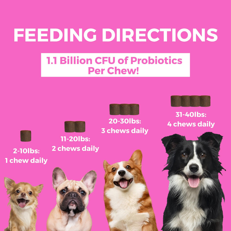 Nootie Progility Mini Pre & Probiotic Supplement, Digestive Aid Supplement for Dogs, 60 Soft Chews per Container 60 Mini Soft Chews