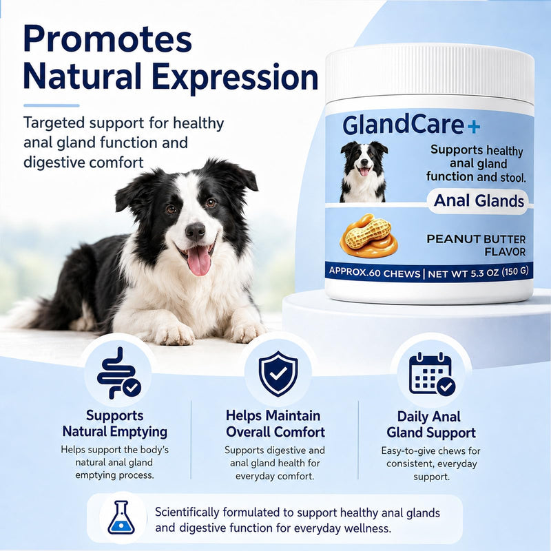 GlandCare+ Anal Gland Chews for Dogs - Pumpkin Seed, Psyllium Husk & Probiotics - Peanut Butter Flavor - Relieves Scooting & Odor - Digestive Health & Stool Support Supplement - 60 Count